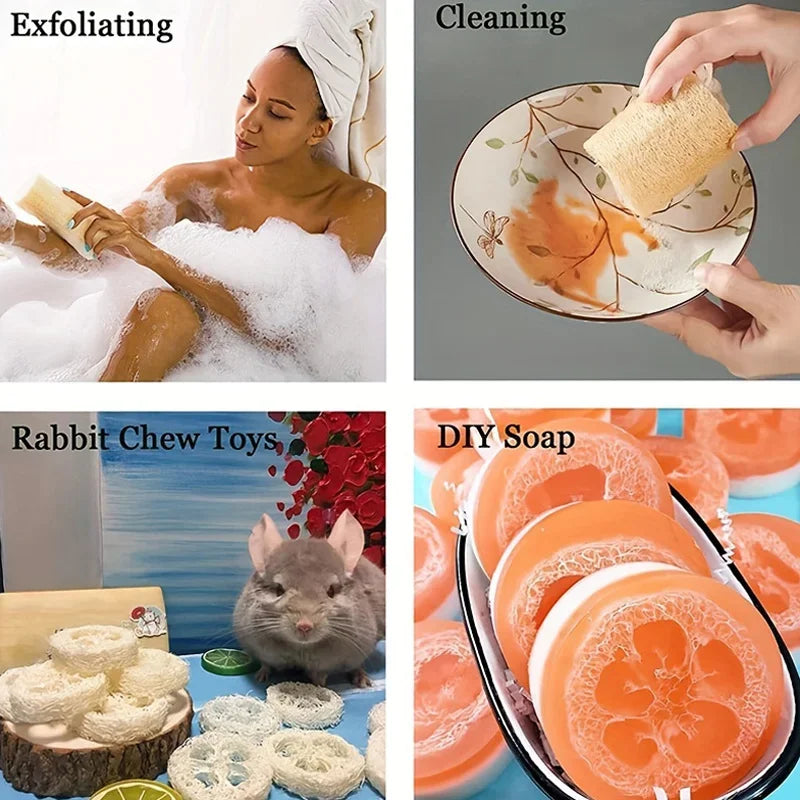 2-Pack Natural Exfoliating Loofah Sponges